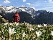 Rifugio Balicco (1995 m) e Bivacco Zamboni (2007 m) ad anello il 1 aprile 2019 - FOTOGALLERY